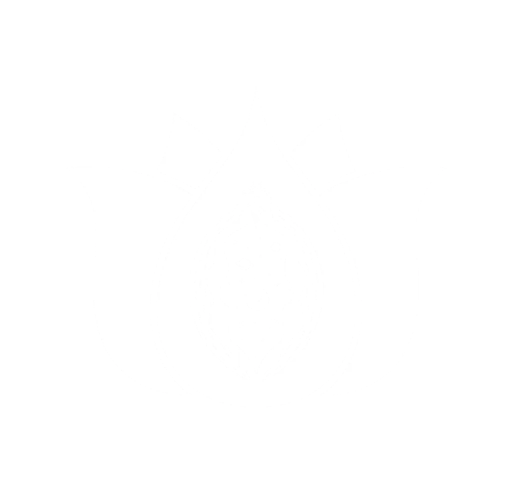 Iconos Landing Page-04